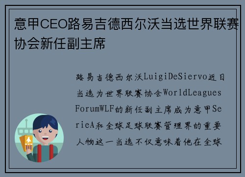 意甲CEO路易吉德西尔沃当选世界联赛协会新任副主席 意甲CEO路易吉德西尔沃当选世界联赛协会新任副主席