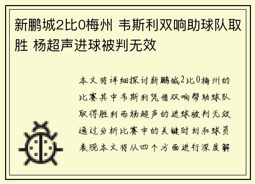 新鹏城2比0梅州 韦斯利双响助球队取胜 杨超声进球被判无效 新鹏城2比0梅州 韦斯利双响助球队取胜 杨超声进球被判无效